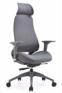 WISDOM GREY HB